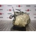 Коробка передач АКПП Lexus RX-350, 2003-2008