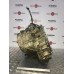 АКПП Nissan Teana J31, Murano, Maxima А34, 2005-2008