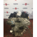 Двигун Infynity FX 35, 2003-2007