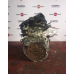 Двигун Nissan X-Trail Т31 MR 20, 2007-2012